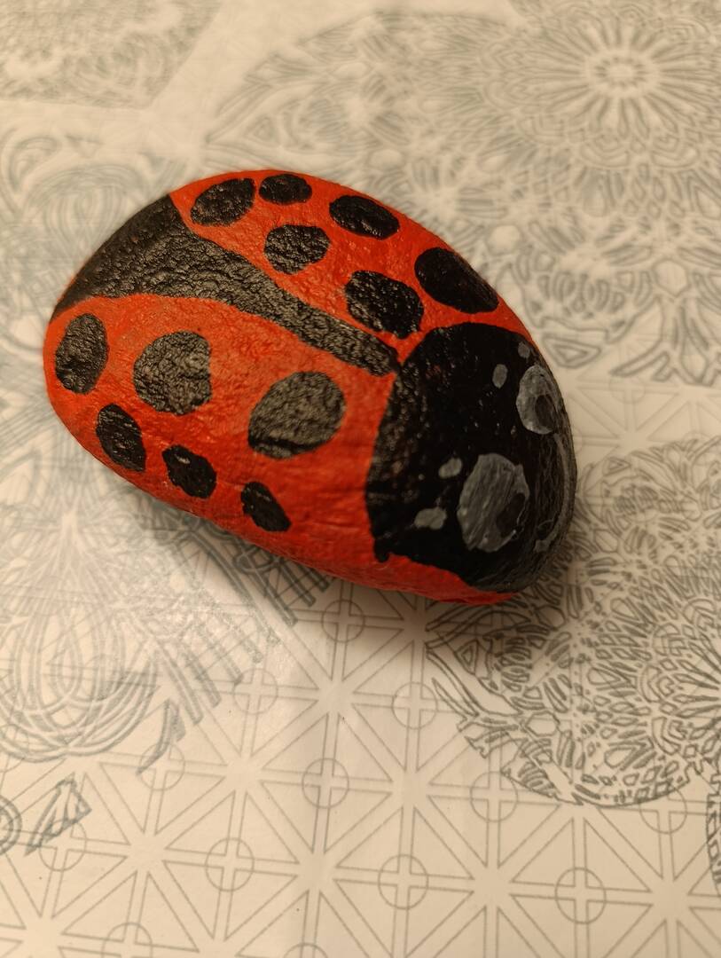 Coccinellina