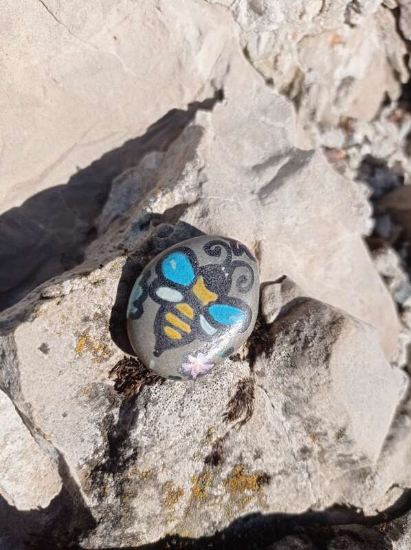 Sasso dipinto: aPina Bodhi 🌼🐝 — di CuorePini