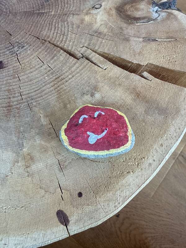 Faccina
