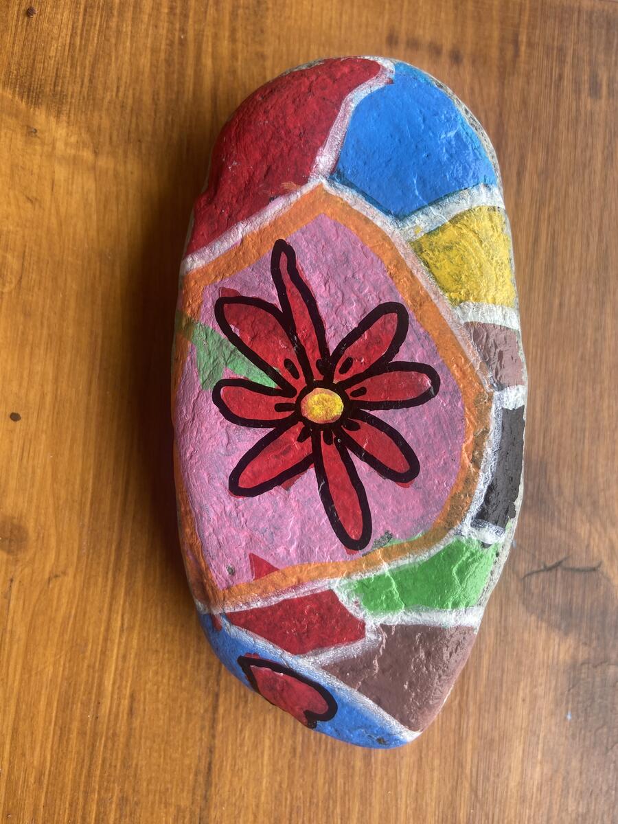 Fiori e colori
