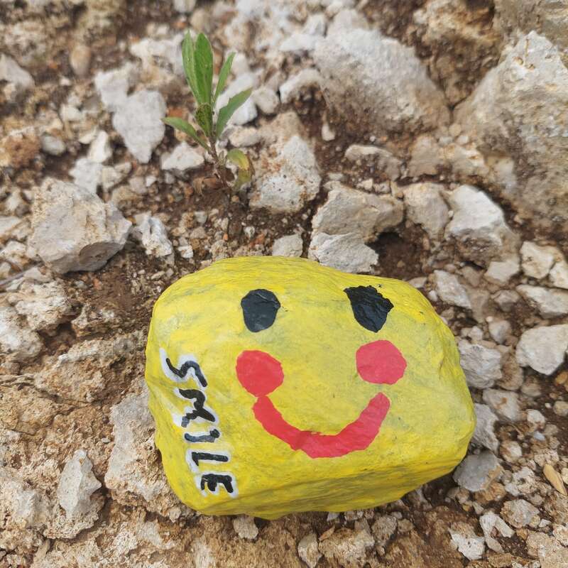 Smile