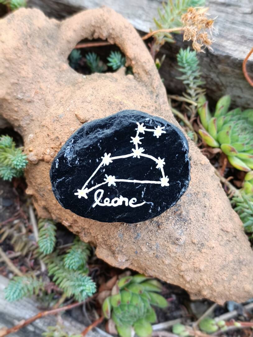 Leone ♌️
