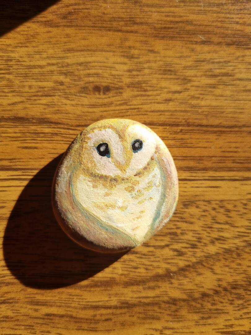 Sasso dipinto: Barn owl hug — di Isola dei Mimmi