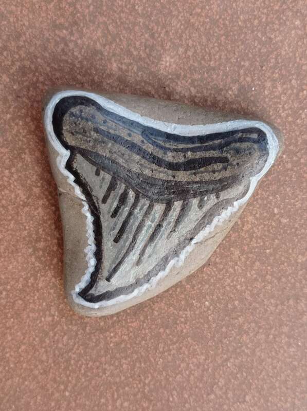 Sasso dipinto: Dente di Megalodonte — di CuorePini