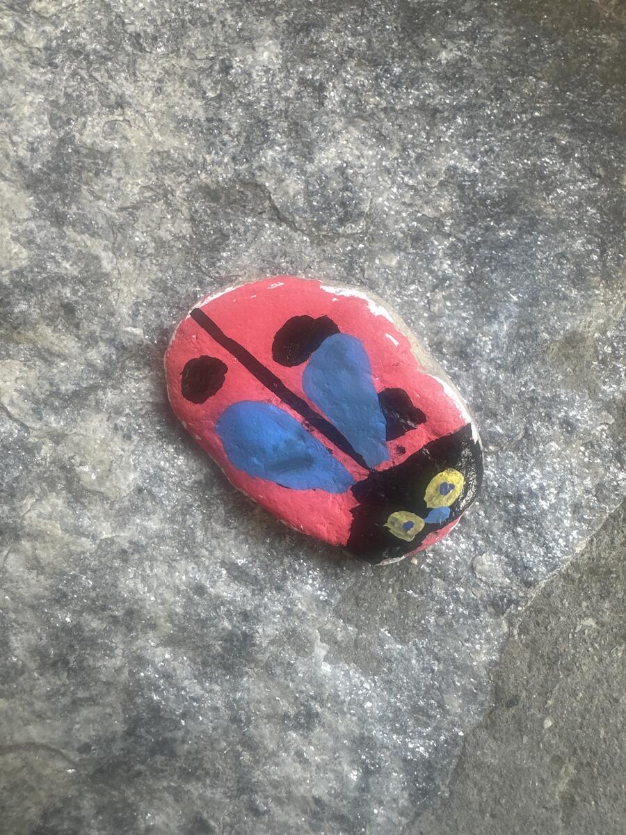 Coccinella