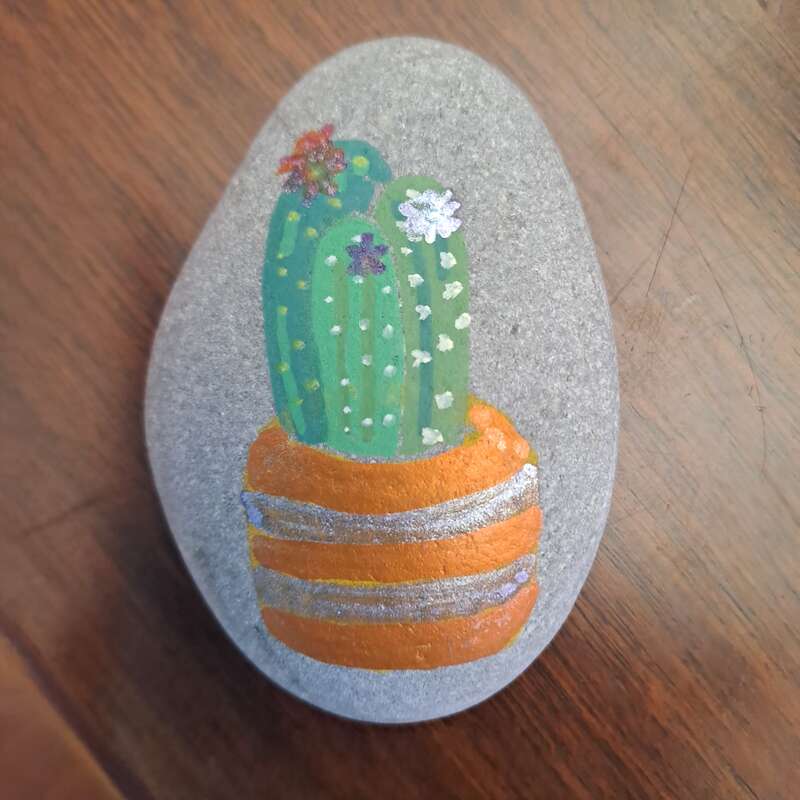 Sasso dipinto: Piante grasse🌵 — di Enry.72