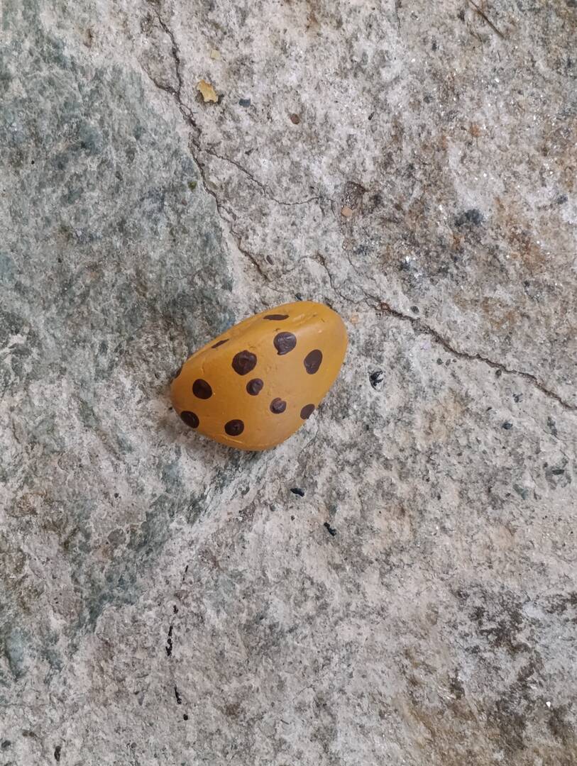 Pangocciolo