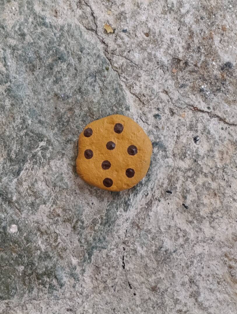 Cookie 🍪