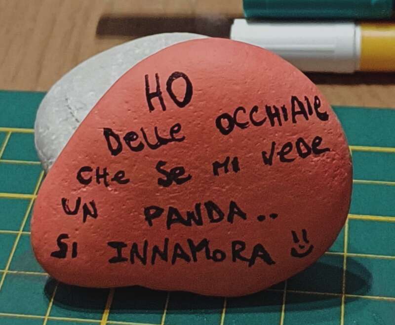 Sasso dipinto: Ho delle occhiaie che se mi vede un Panda 🐼 si innamora 😂 — di Francesca