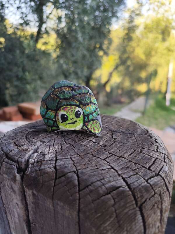 Tartaruga Uga
