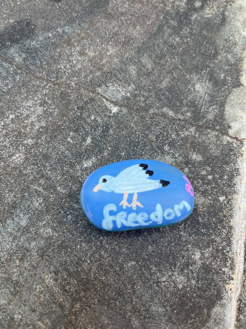 Freedom