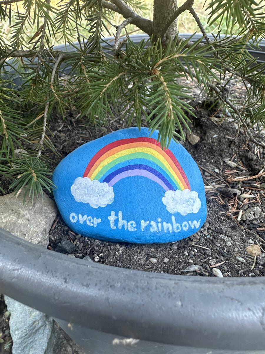 Over the rainbow