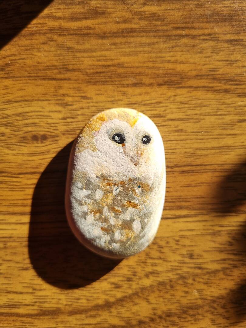 Sasso dipinto: Barn owl — di Isola dei Mimmi