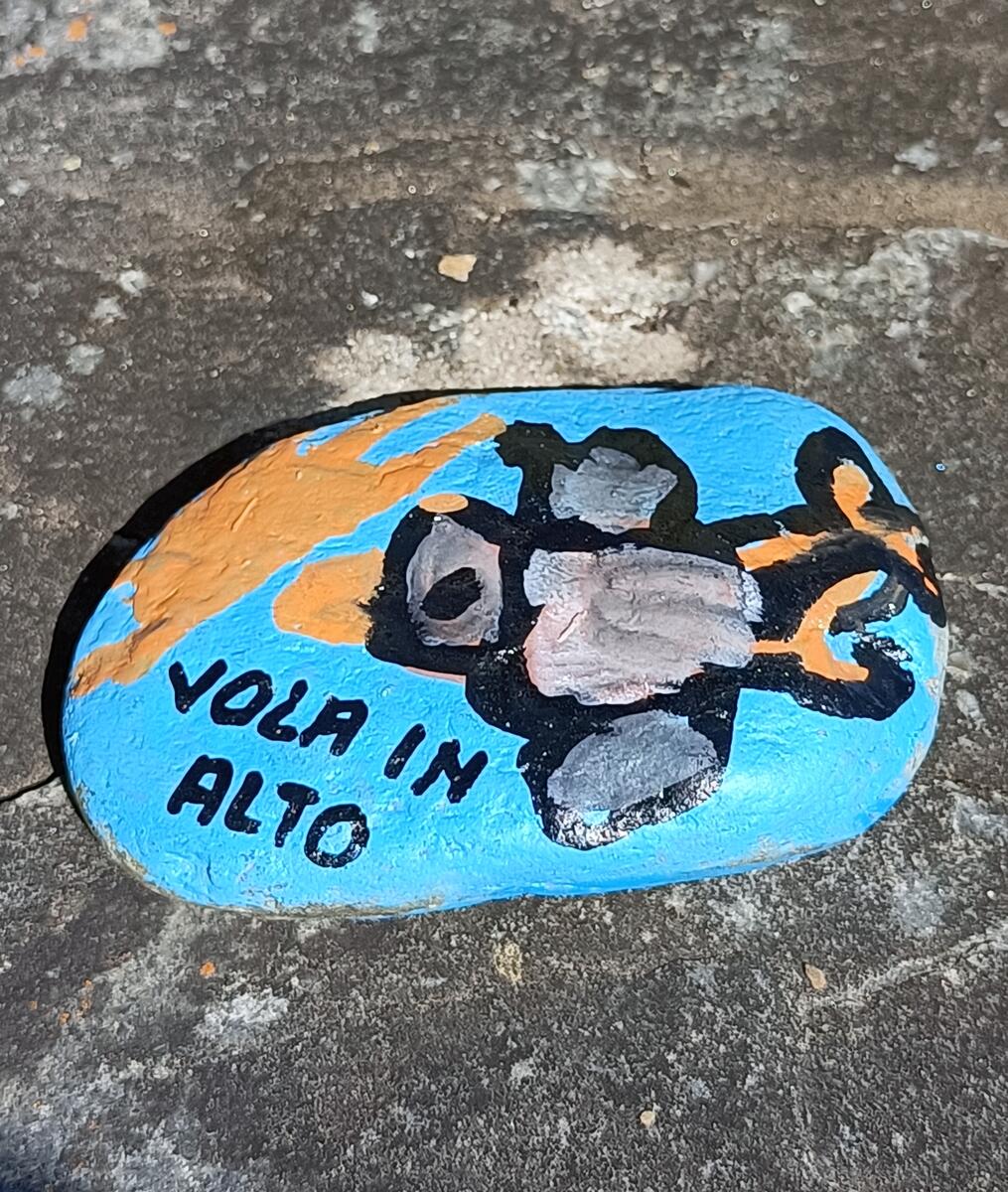 In volo