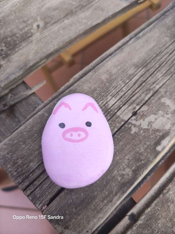 Pigghy