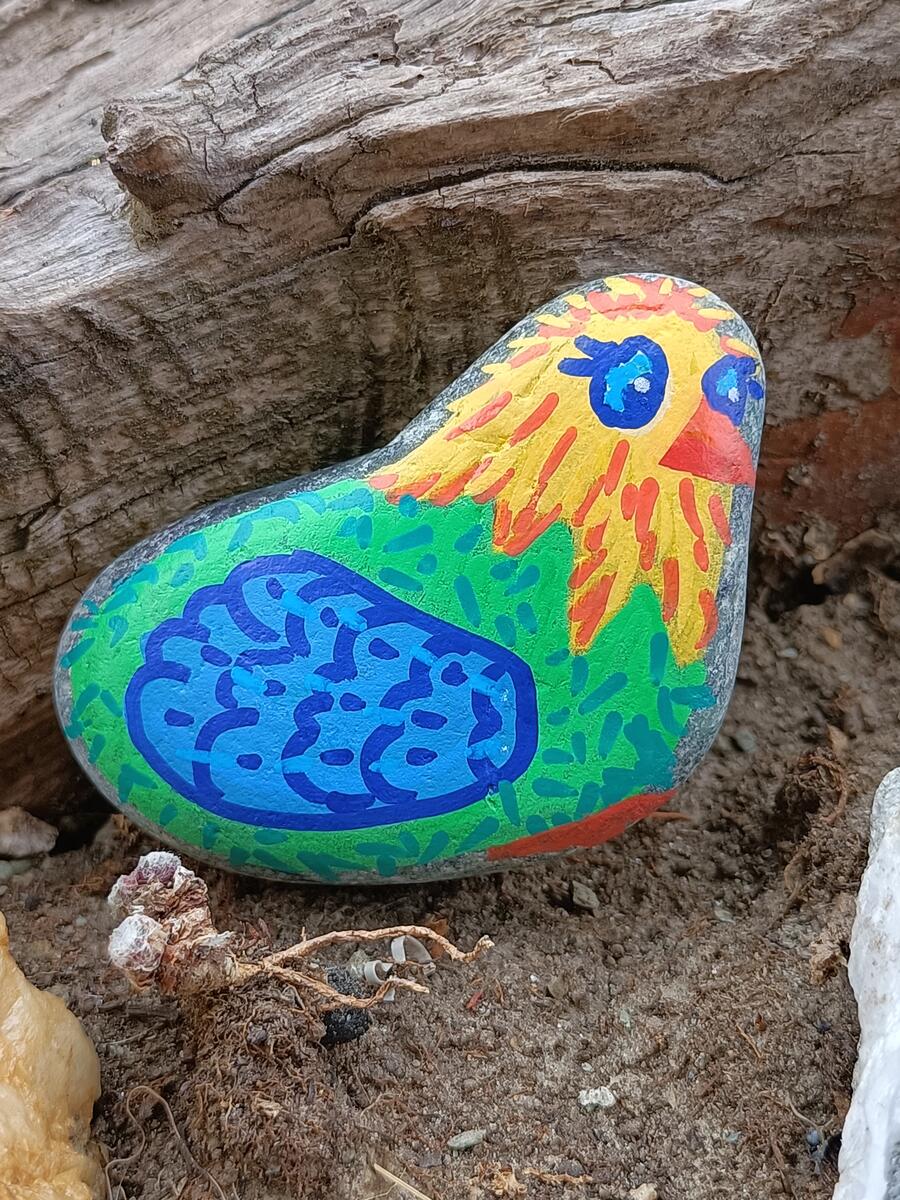 Gallinella