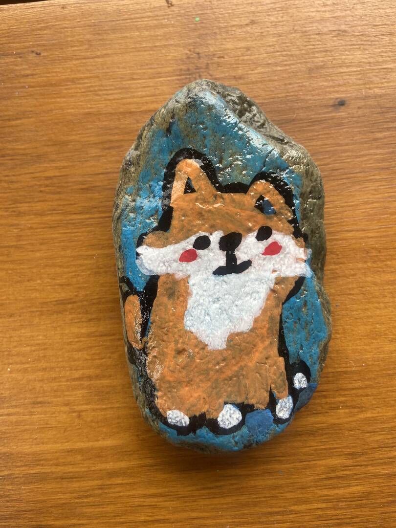 Piccola volpe