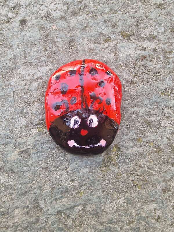 Coccinella