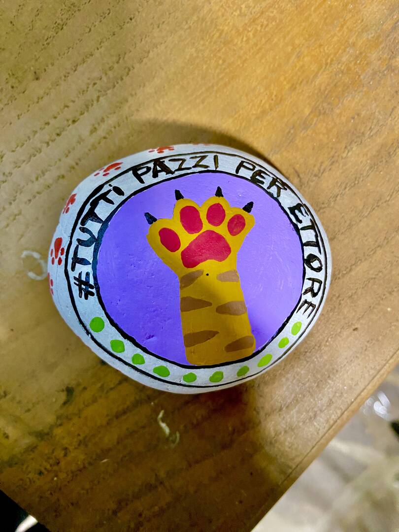 Tutti pazzi per ettore